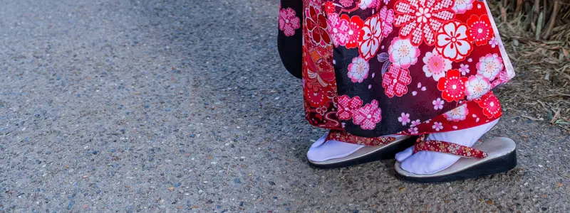 A geisha dressed in a beautiful kimono with cherry blossom patterns, wearing traditional Japanese sandals.